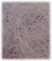 Pliotron Air Filters Pliotron Air Filters